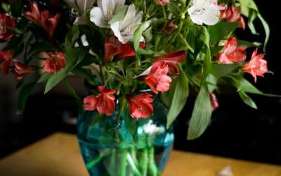 How To Make The Most of This Venus Retrograde!